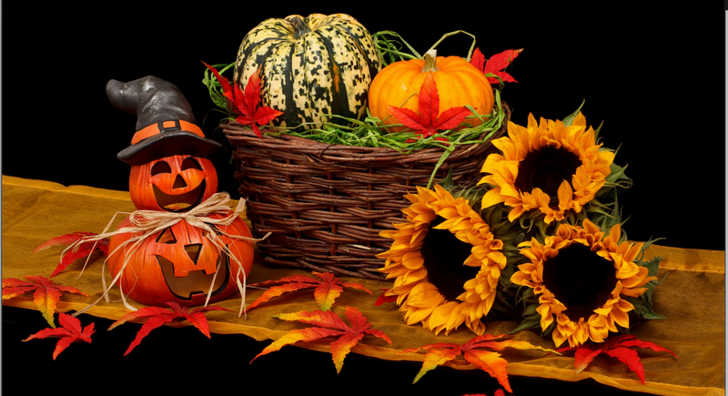 Your Last-Minute Halloween Shopping Guide - Interesting Facts and the 10 Best Online Halloween Stores
